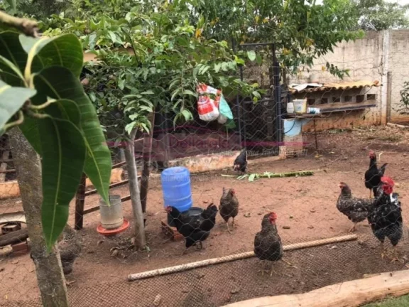 Imagem Chacara residencial dentro da cidade