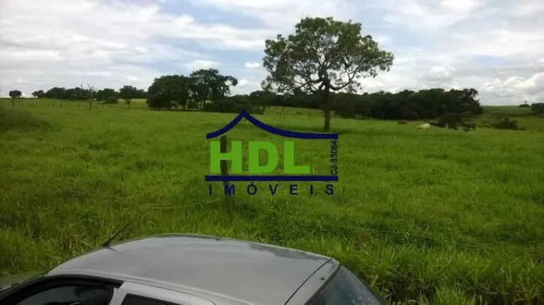 Imagem FAZENDA 38,5 ALQS TRIPLA APTIDÃO MUITA ÁGUA EM PIRACANJUBA - GO.