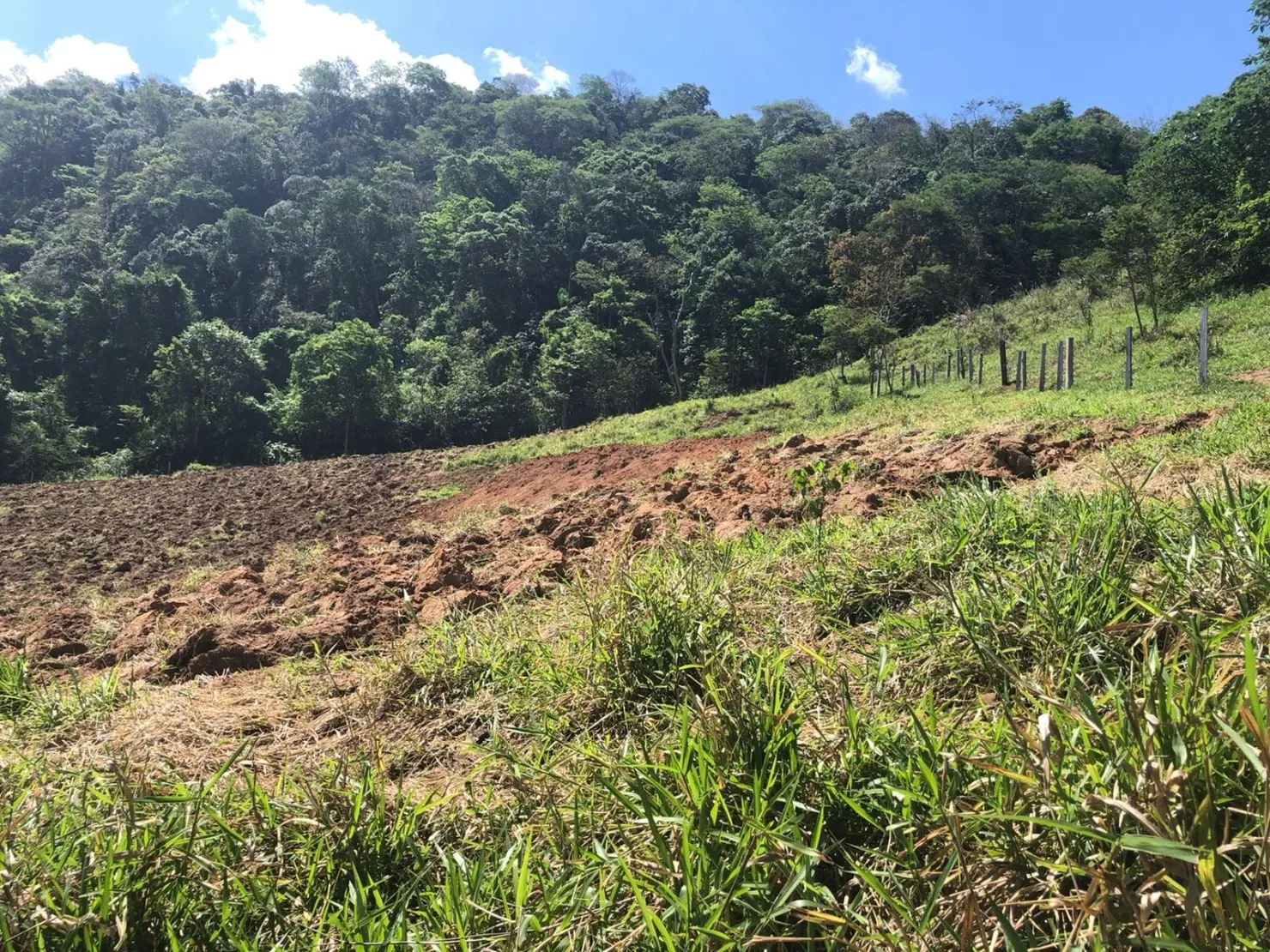 Imagem Sítio com 9 Alqueires em Ribeirão Grande com Abundância de Água