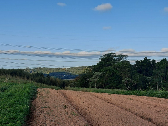 Imagem Terreno à Venda, 1.000 m² em Centro - Cotia
