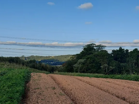 Imagem Terreno à Venda, 1.000 m² em Centro - Cotia