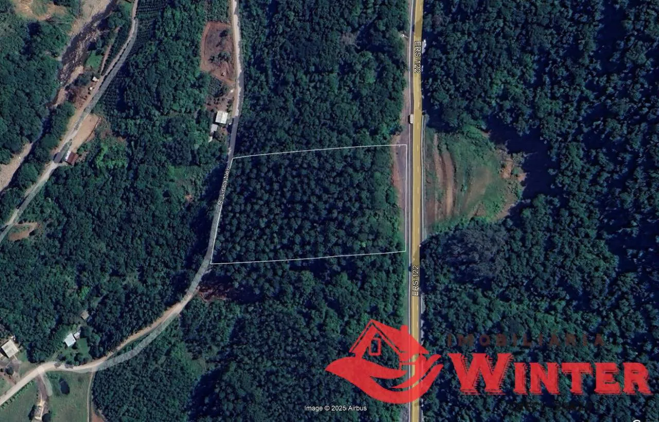 Imagem Area de terras frente para RS 122 em São Vendelino.