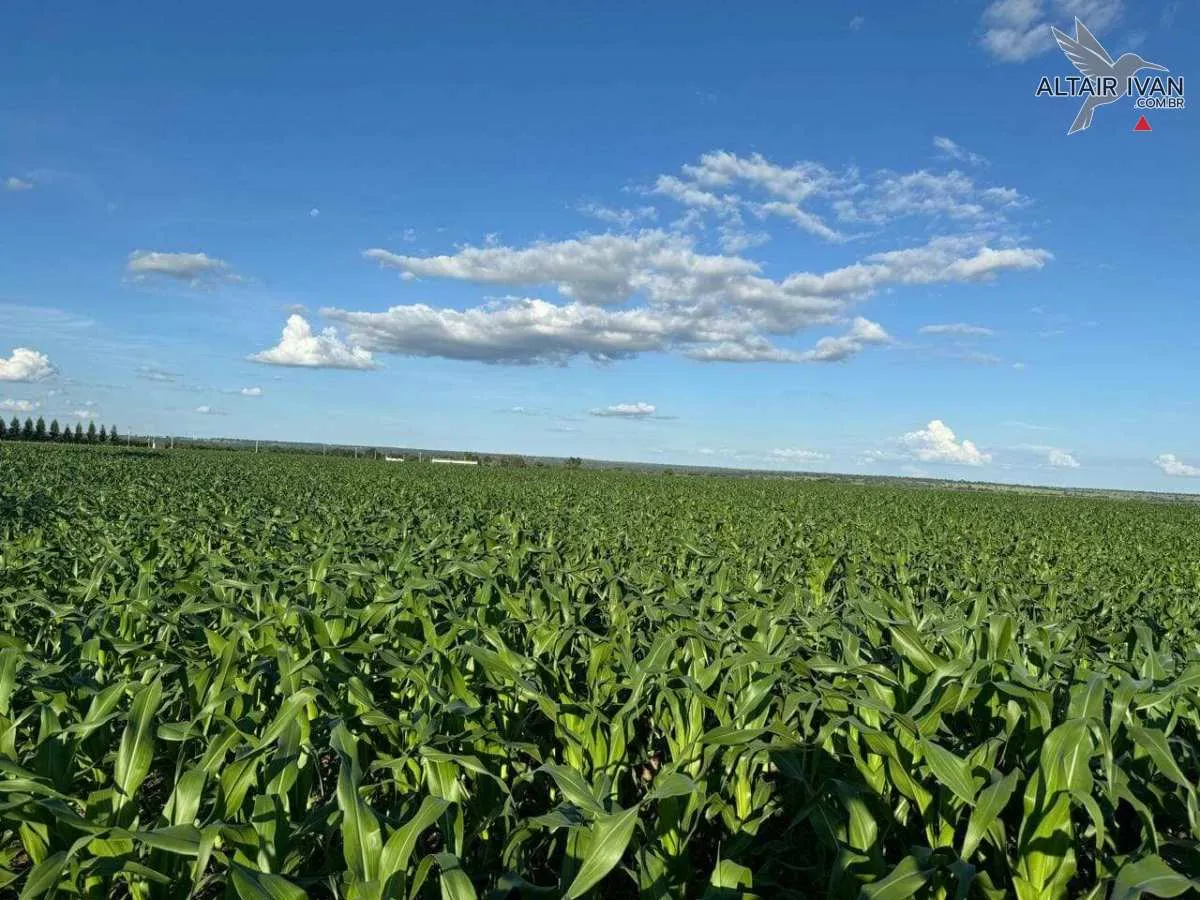 Imagem Fazenda em São Romão MG