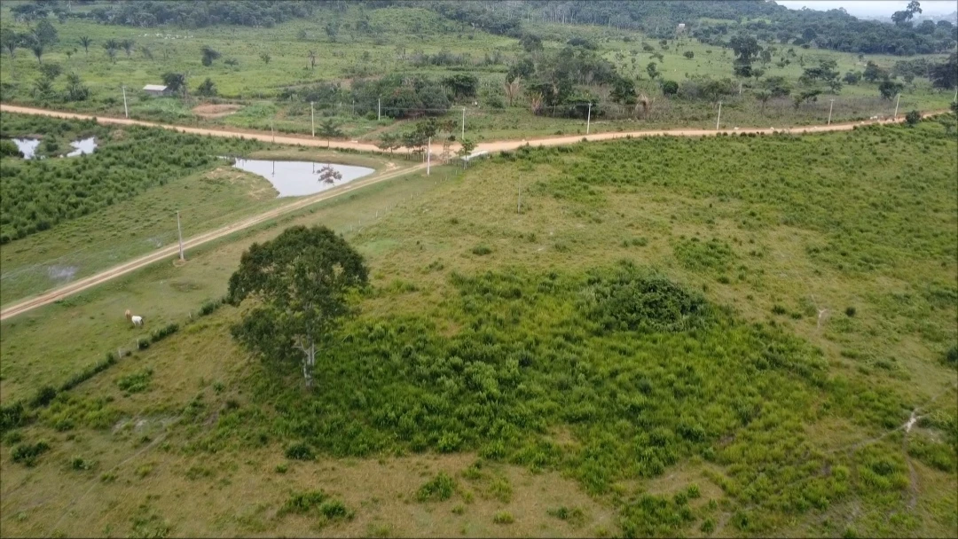 Imagem Fazenda à Venda, 90024 Alq. GO em São Félix do Xingu - São Félix do Xingu