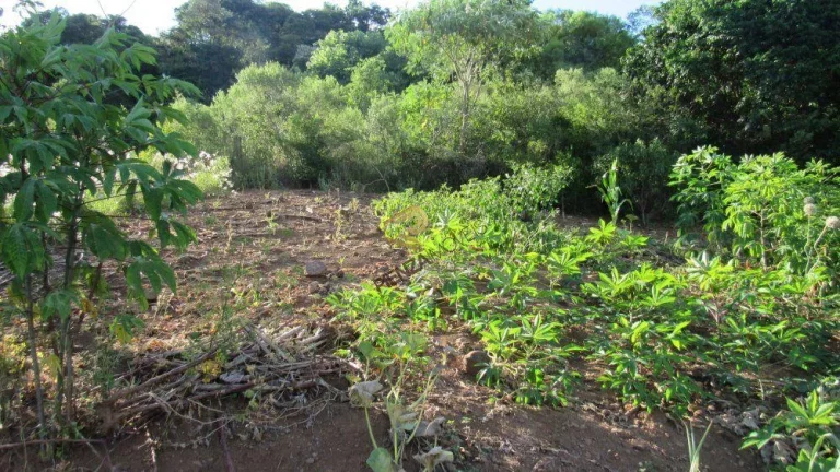 Imagem Terreno para Venda em Concórdia, Petrópolis