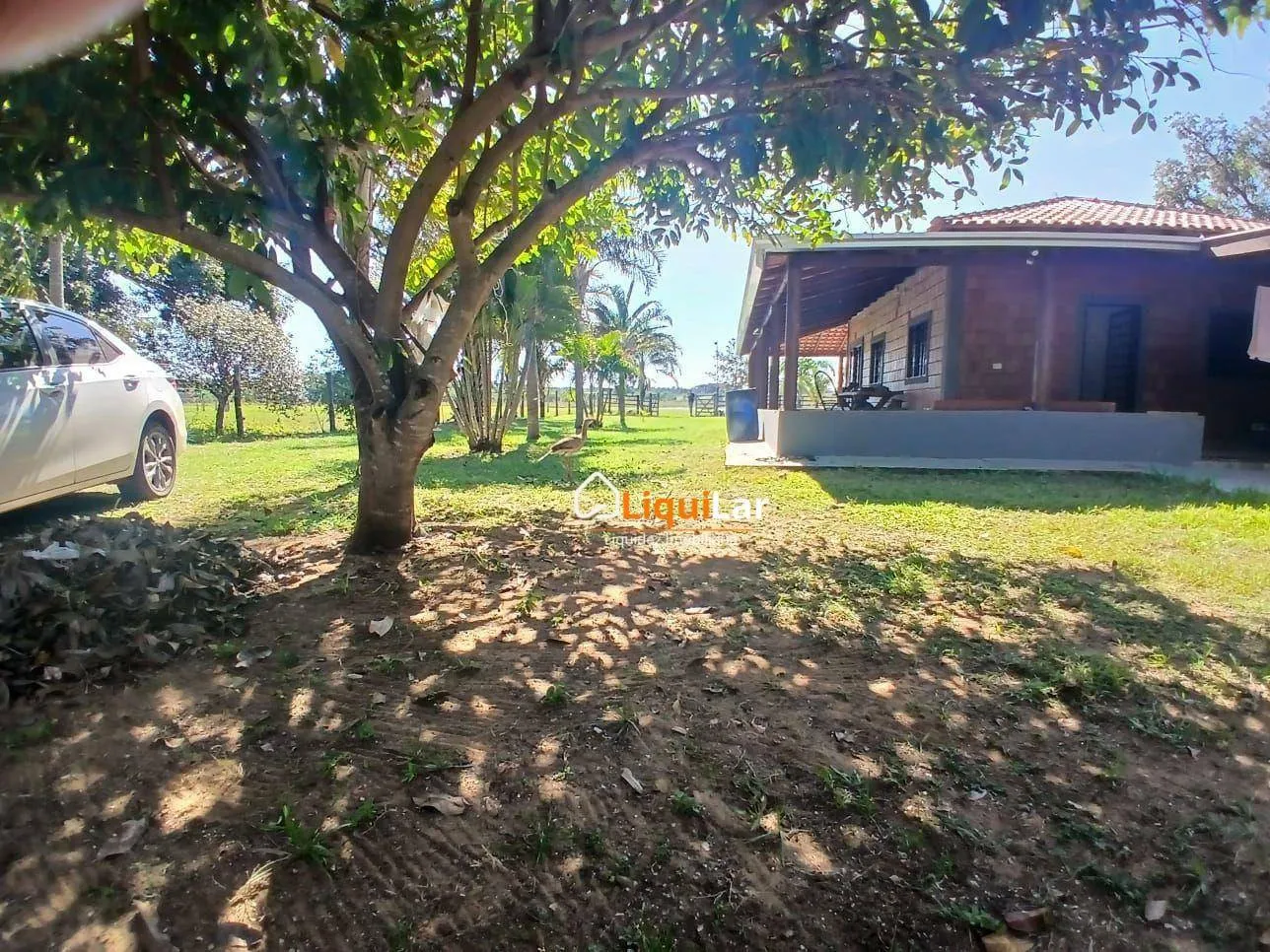 Imagem Chacara Espetacular Na Beira do Rio Cachoeirão