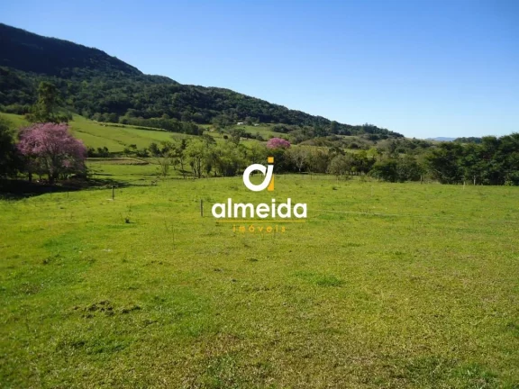 Imagem Chácara 3 dormitórios à venda Zona rural Restinga Seca/RS
