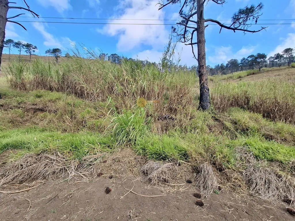 Imagem Terreno para Venda em Teresópolis / RJ no bairro Fazenda Suiça
