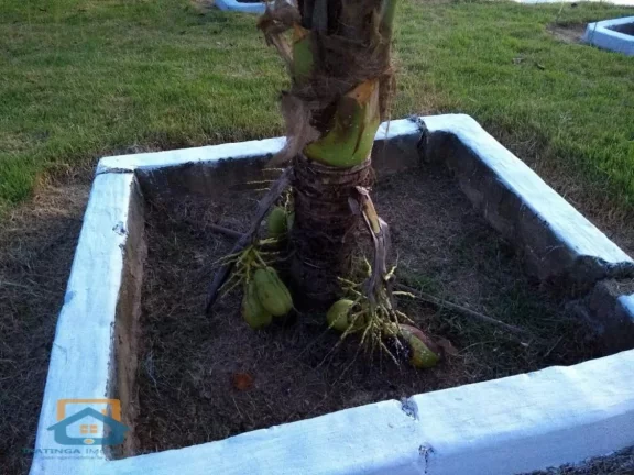 Imagem Chácara de 5.000m² em Bom Jesus do Galho
