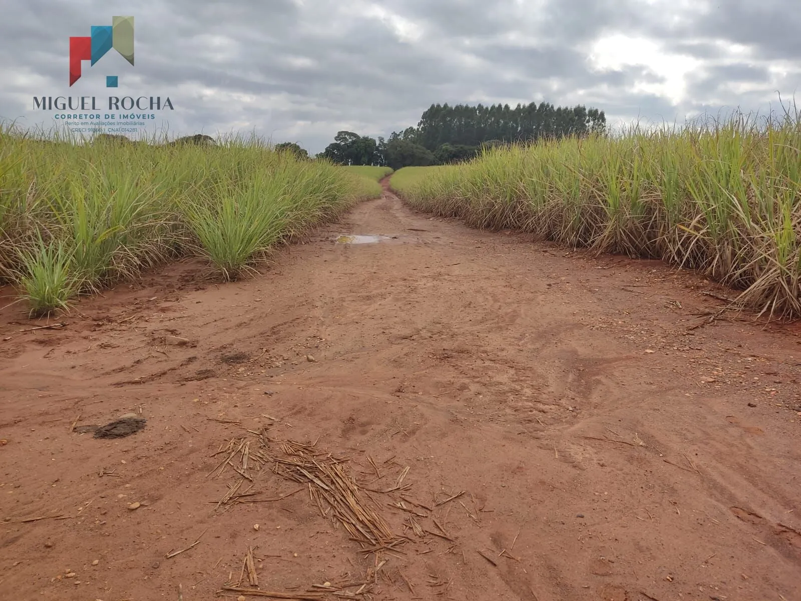 Imagem Fazenda região de Tatuí SP