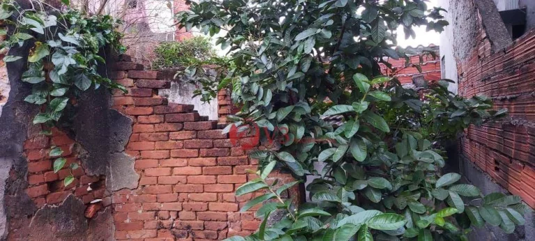 Imagem Terreno à venda, 150 m por R$ 400.000,00 - Cidade Patriarca - São Paulo/SP