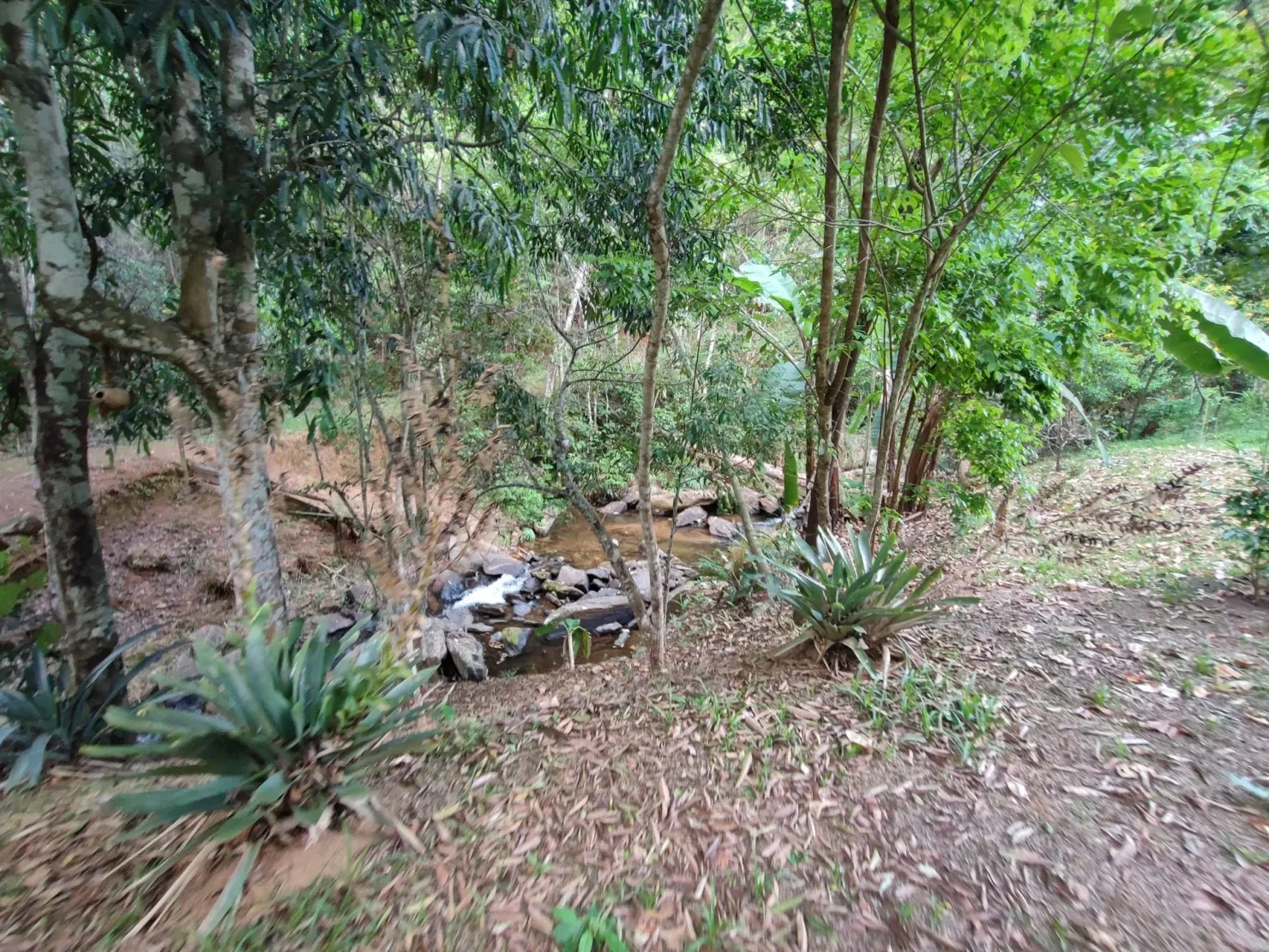 Imagem Chácara à venda 78000M², Zona Rural, Pindamonhangaba - SP