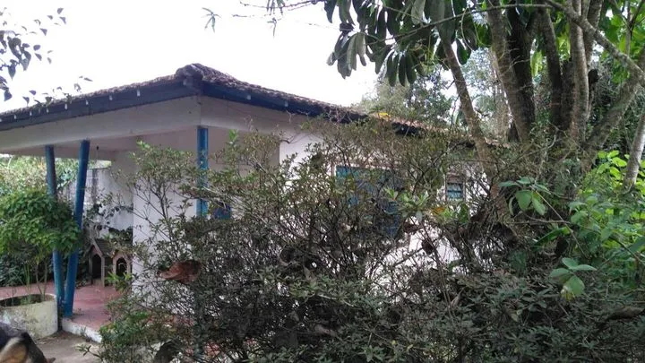 Imagem Chácara com 5 Quartos à Venda, 7.485 m² em Palmeiras De São Paulo - Suzano