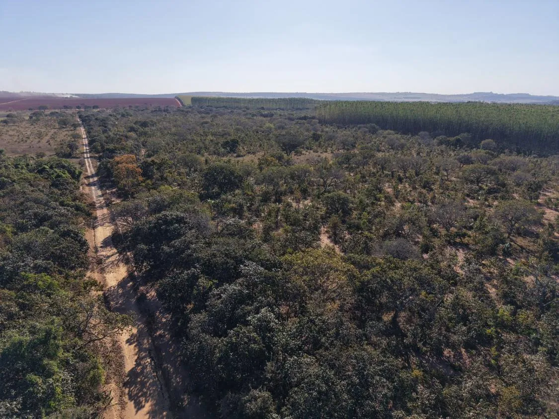 Imagem Fazenda à Venda em Papagaios/MG ? 150 Hectares