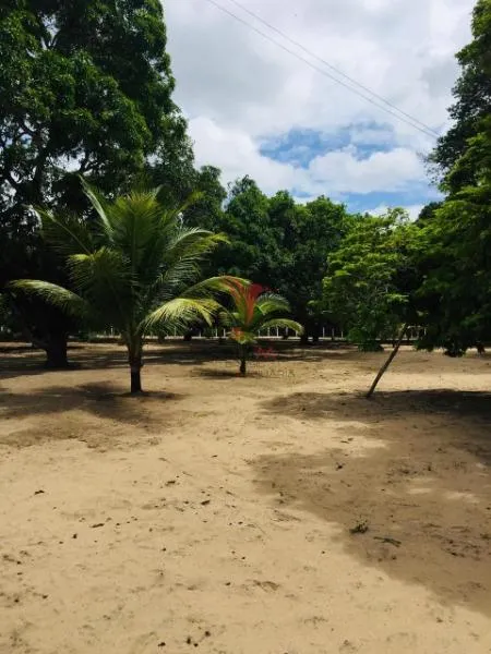 Imagem Casa 3 dormitórios 1 suíte 140000m² 4 vagas Municipios Santa Rita/PB