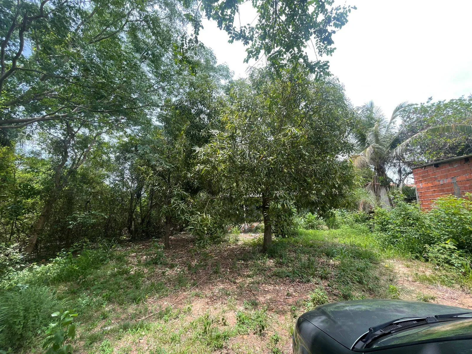 Imagem Casa 3 quartos, 1 suíte, área rural em Cuiabá - MT