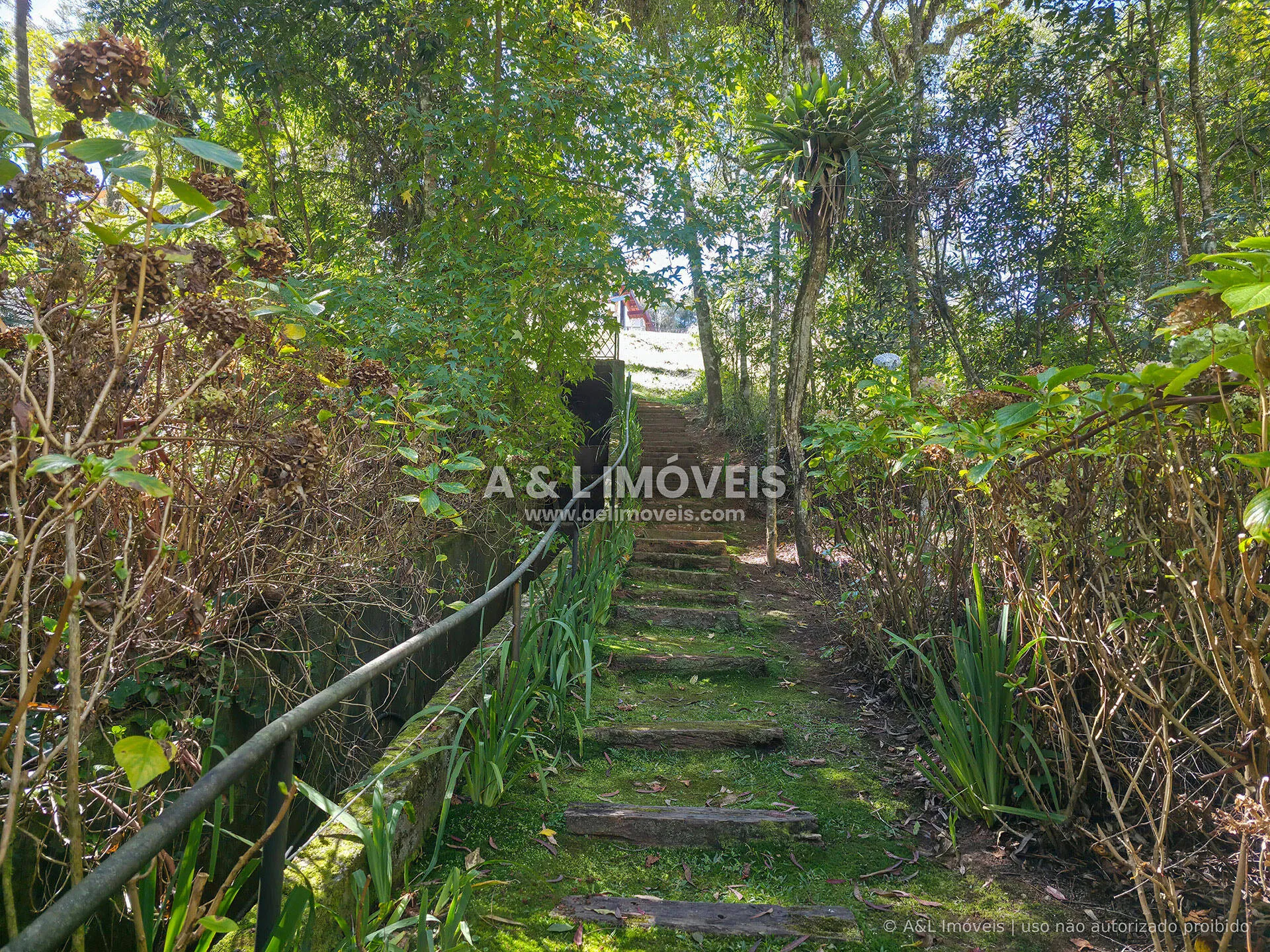 Imagem Lote à venda no Reserva Figueiredo | Campos do Jordão