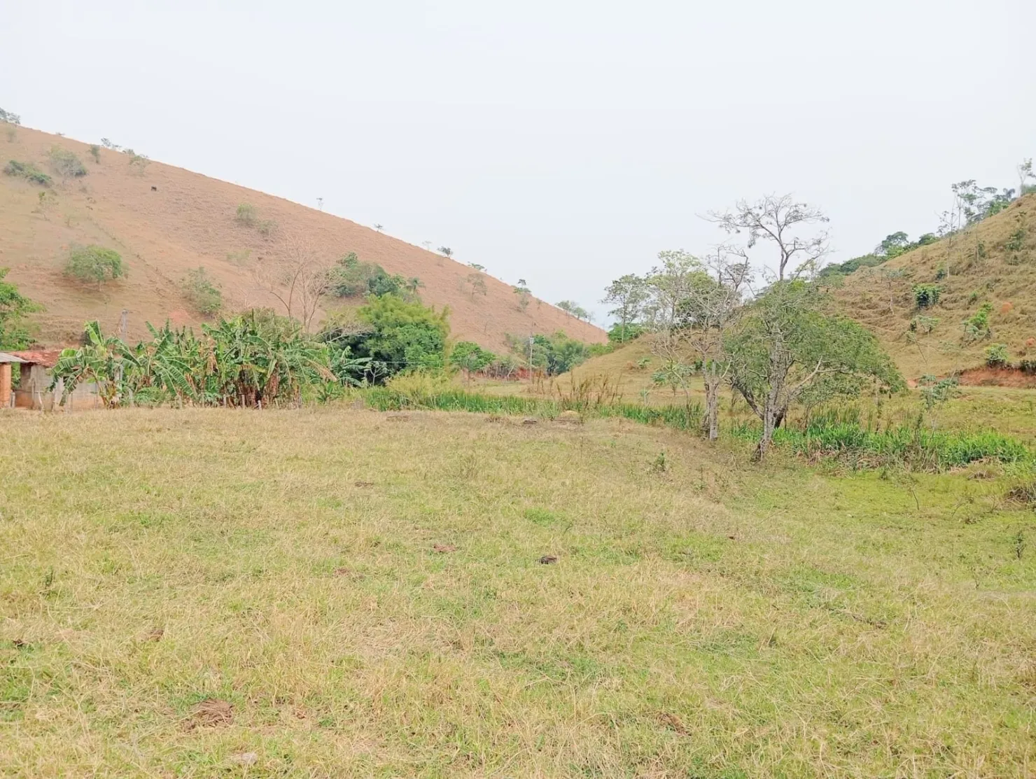 Imagem Fazenda proxima a Dutra paraa venda, , Roseira Velha, SP