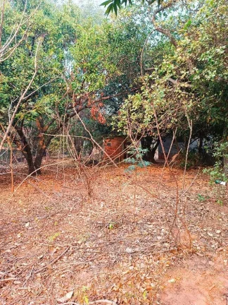 Imagem CHÁCARA A VENDA NA VICINAL DE TALHADOS