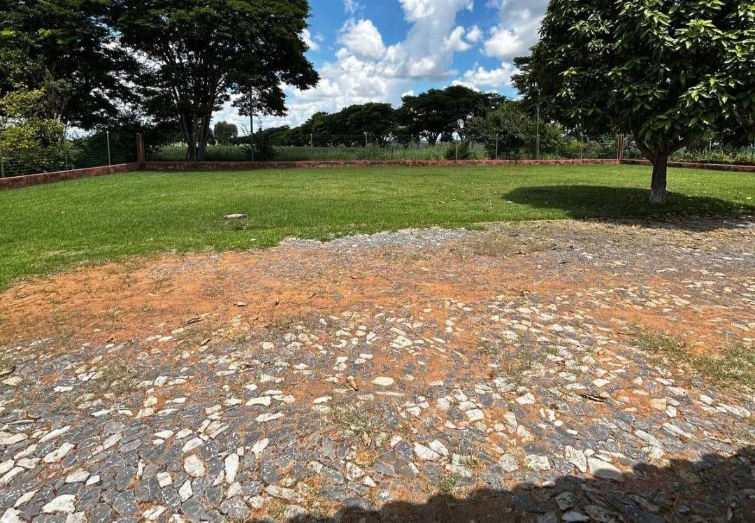 Imagem Vendo uma ótima fazenda em Dores do Indaiá/MG 205 hectares de terra