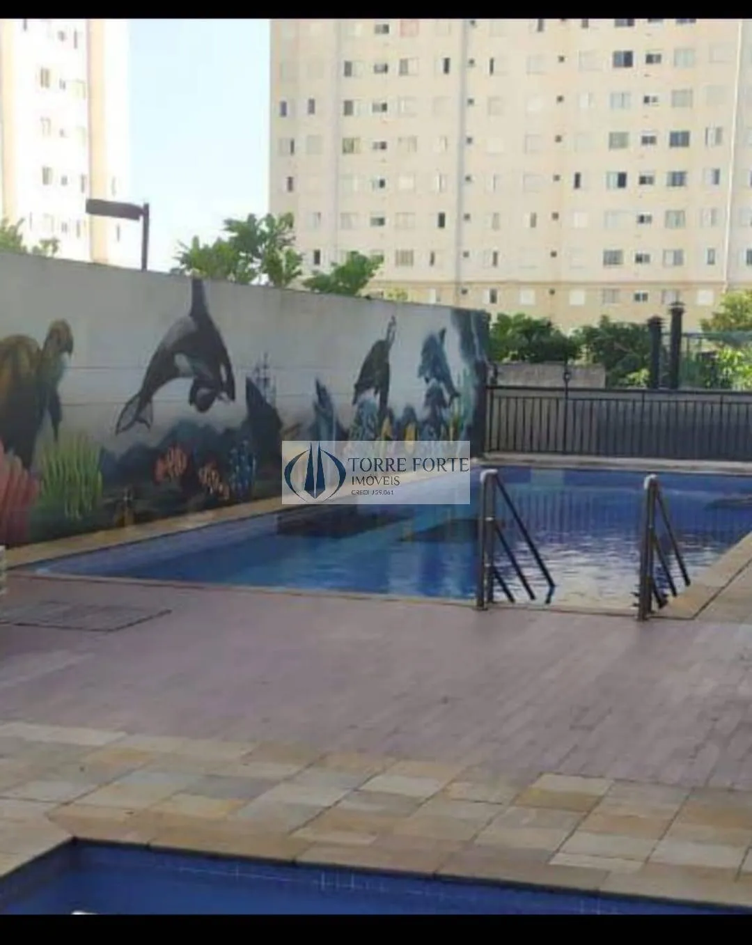 Foto do imóvel Ótimo Apartamento 2 Dormitórios e 1 Vaga na Vila Nova Curuça em Rua Malva-Isco