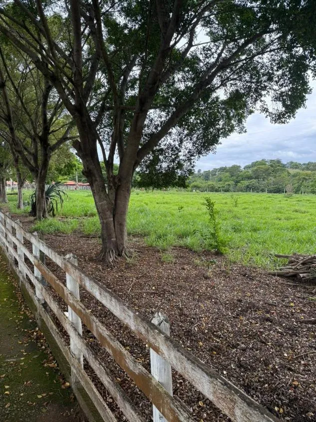 Imagem Fazendinha de Alto Padrão à Venda em Nova Serrana/MG 50 hectares de terra