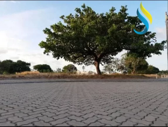Imagem Lotes Condomínio Vila Jardins Jacundá Eusébio