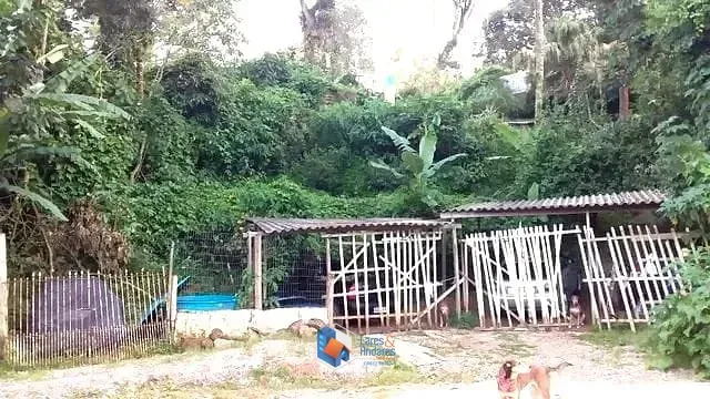 Imagem CHÁCARA À VENDA, COM 2.438 METROS COM POMAR EM PRODUÇÃO, COM RUA ASFALTADA E ILUMINAÇÃO E FARTO TRANSPORTE - MANTIQUEIRA, MAIRIPORÃ