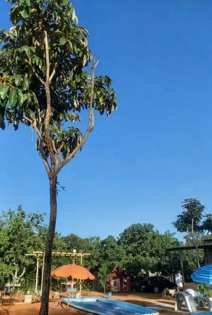 Imagem Chácara com 2 Quartos à Venda, 80 m² em Chácaras Marajoara - Luziânia