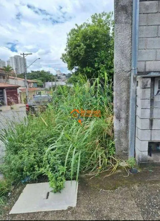 Imagem Terreno à venda, 250 m² por R$ 790.000,00 - Parque Renato Maia - Guarulhos/SP