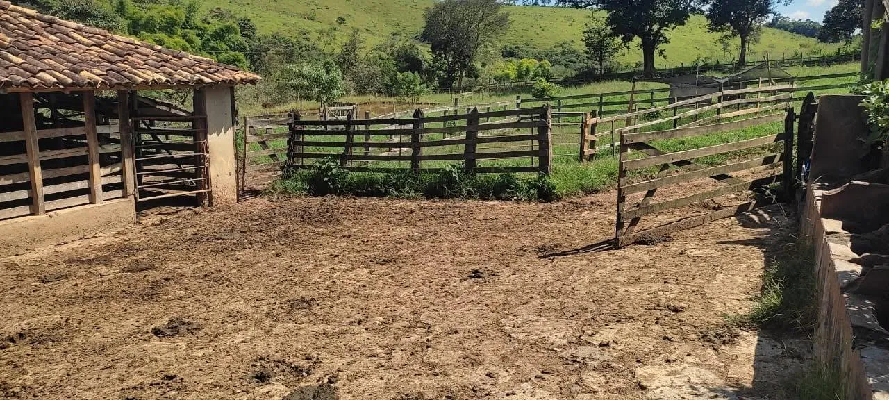 Imagem vendo um belo sítio em Piedade dos Gerais /MG com 12 hectares de terra ( 120.000 m² ),