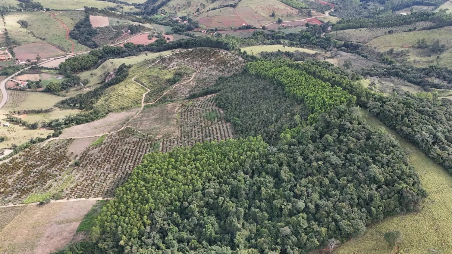 Imagem Fazenda à Venda em Belo Vale/MG ? 42 Hectares | R$ 2.800.000,00