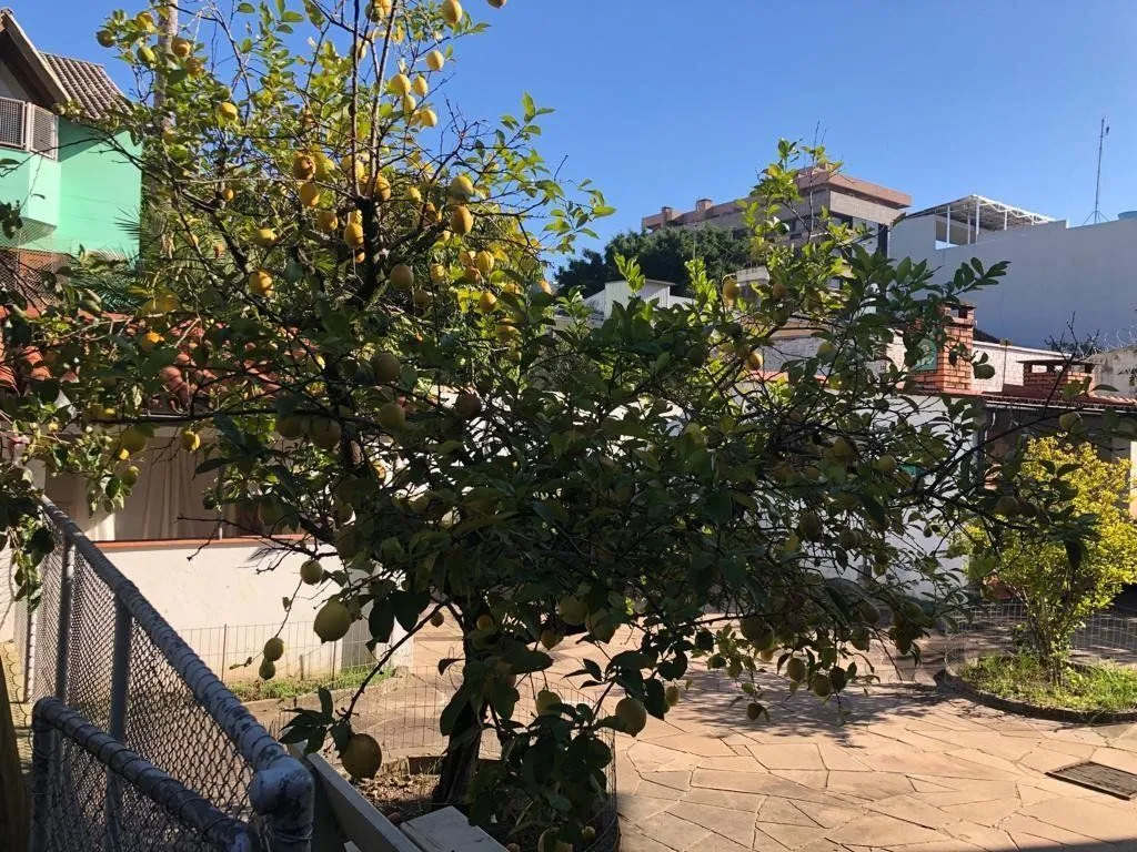 Imagem Casa em Menino Deus