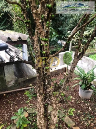 Imagem Casa em Mairiporã.
