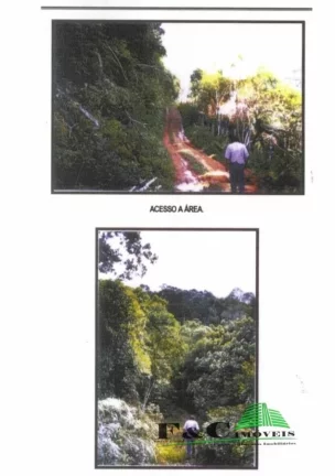 Fazenda para Venda em Miracatu, Rodovia Br-116 Regis Bittencourt Km401