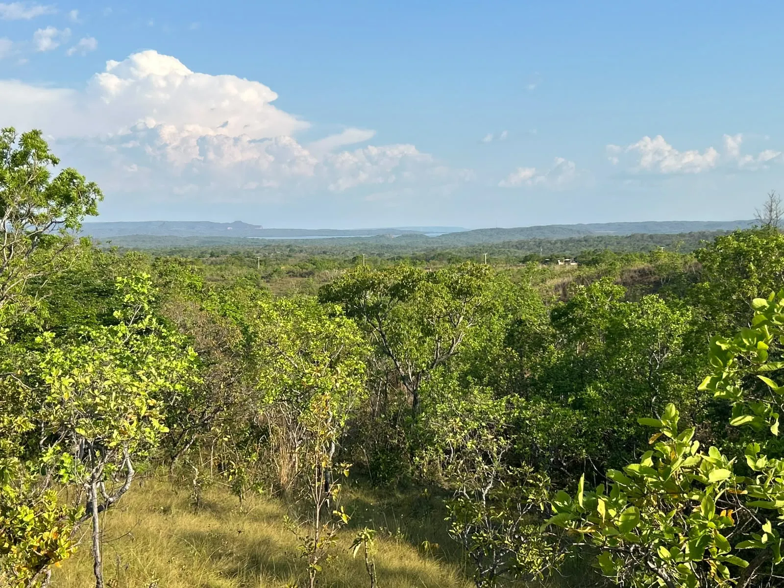 Imagem Terreno na estrada do manso