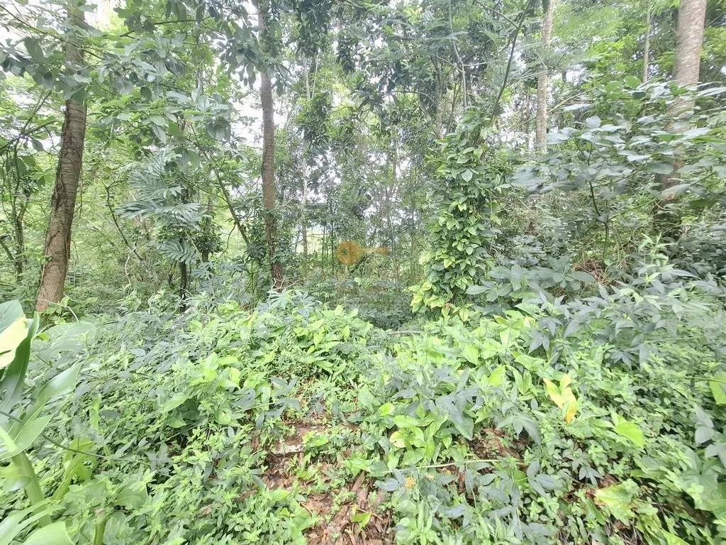 Imagem Terreno em Condomínio para Venda em Teresópolis / RJ no bairro Parque do Imbui