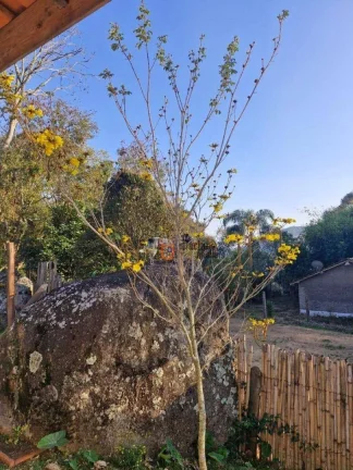 Imagem Chácara com 2 dormitórios à venda, 1100 m² por R$ 398.000,00 - Pitangueiras de Cima - Pedra Bela/SP