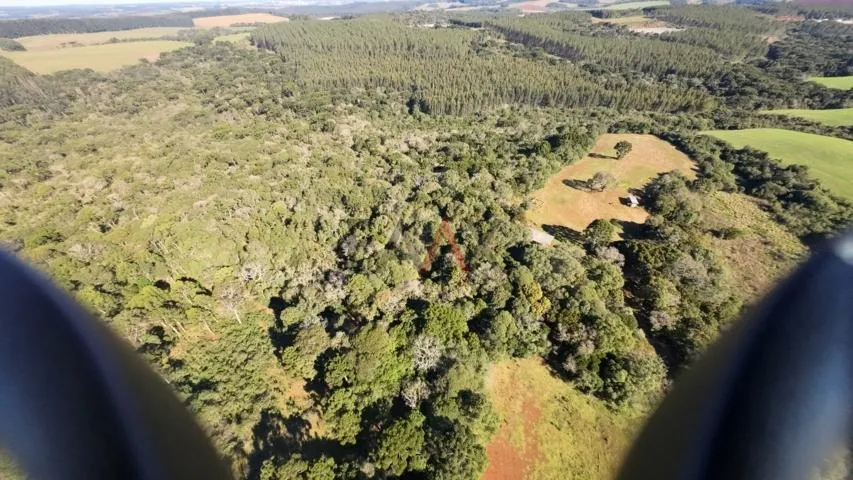 Imagem Sítio à venda com excelentes 24,62ha de área em Guarpuava PR