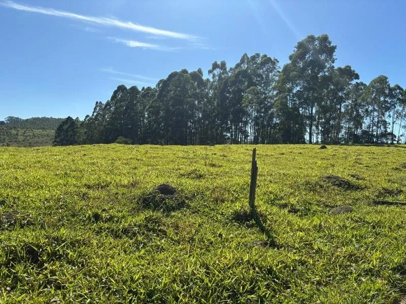 Imagem FAZENDA À VENDA - DESTERRO DE ENTRE RIOS (MG) 51 hectares de área total