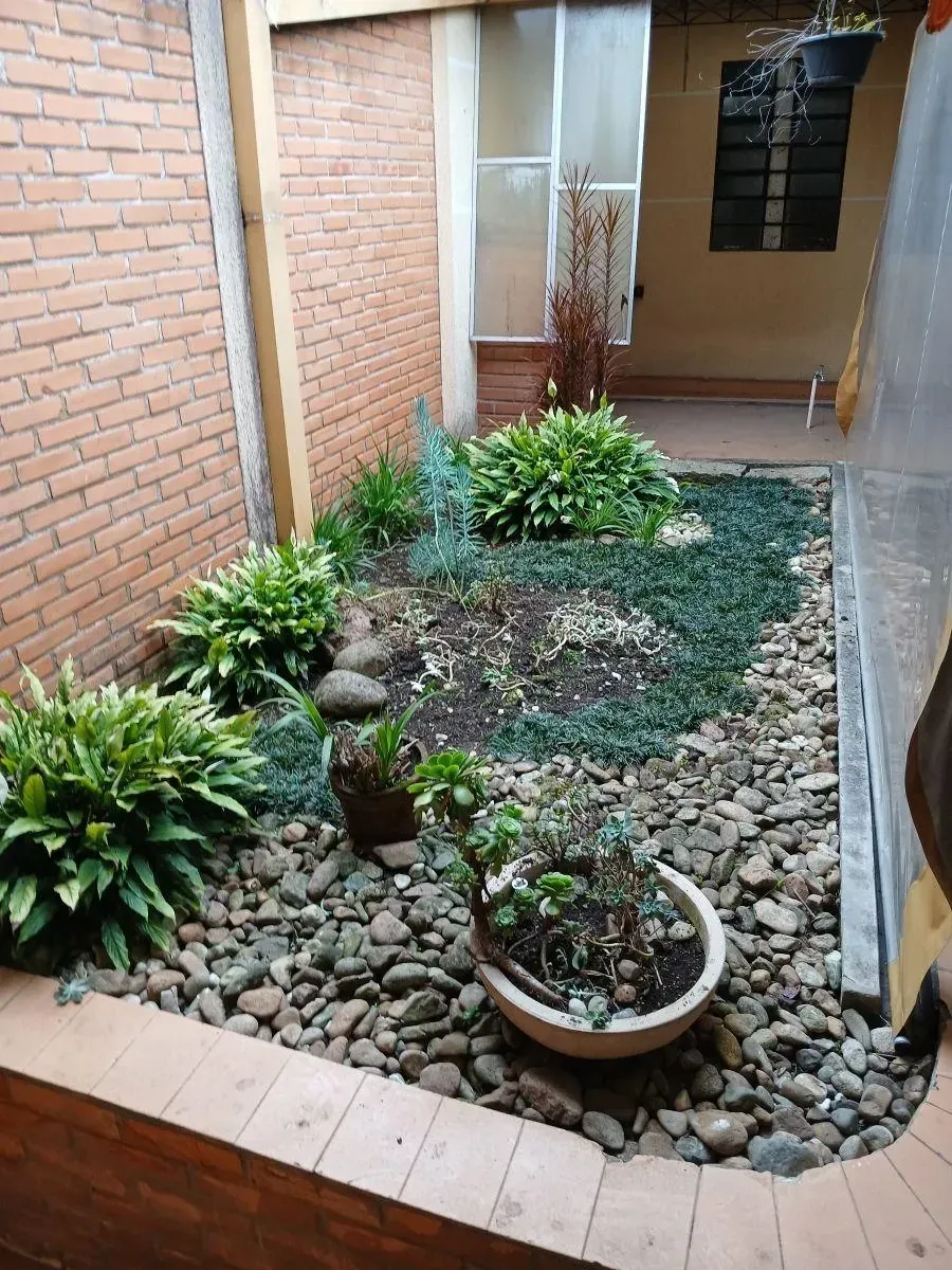 Imagem Casa com 4 Quartos à Venda, 276 m² em Juvevê - Curitiba