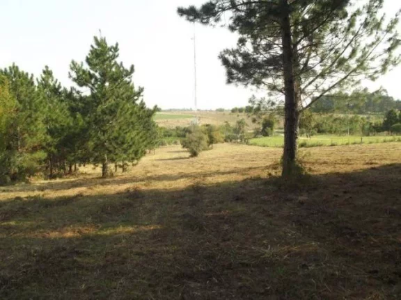 Imagem INVESTIDORES!!! Excelente área de 8 Hectares, frente RS040, Águas Claras