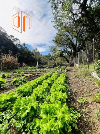Imagem Chácara para Venda em São José dos Pinhais, Contenda