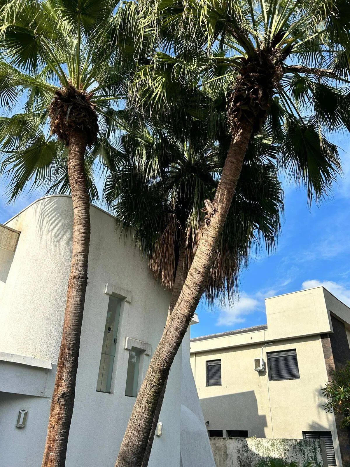 Foto do imóvel Casa Arejada em Alphaville Residencial Dois - 4 Quartos, 2 Suítes, Área de Lazer Completa e 4 Vagas em ALPHAVILLE RESIDENCIAL DOIS, BARUERI - SP