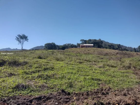 Imagem Granja para Venda em Seara, Interior