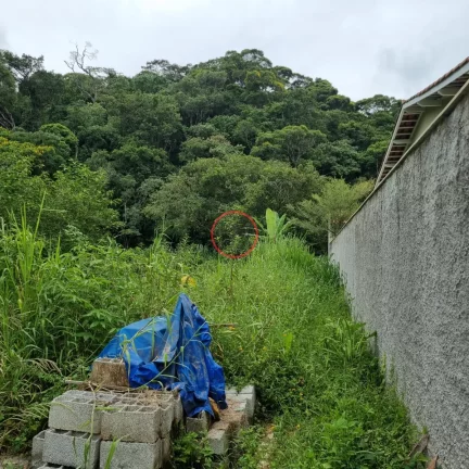 Imagem TERRENO PLANO COM ESCRITURA DEFINITIVA, COM 1.150 METROS, TODO MURADO,EM BOISSUCANGA. OTIMA LOCALIZAÇÃO