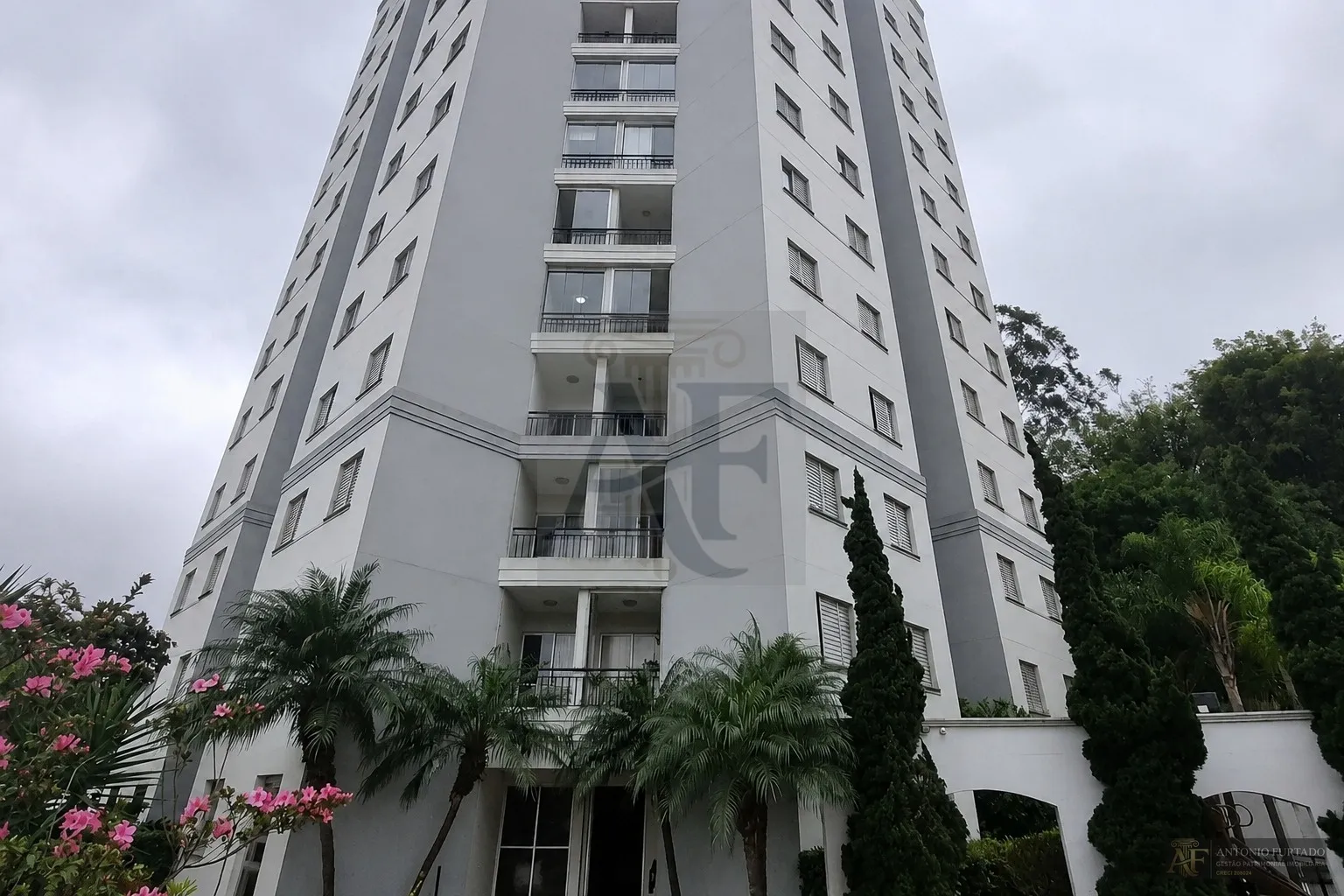 Imagem Apartamento à venda em Vila Alpina, São Paulo
