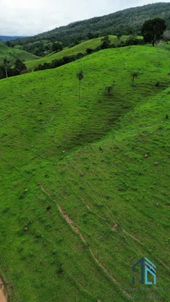 Imagem Fazenda a venda 82 alqueires em Campinacu -Goiania - GO