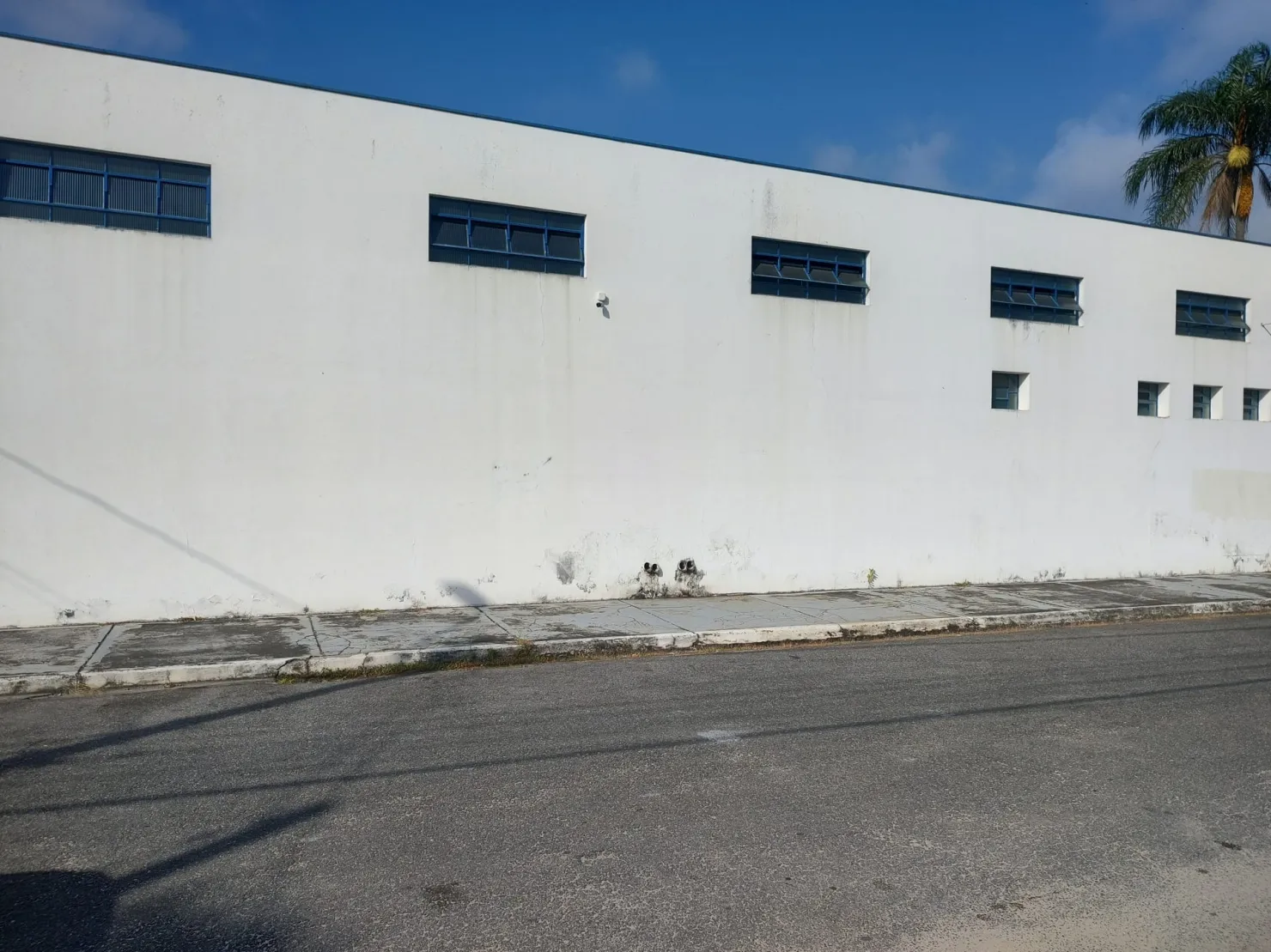 Imagem Comercial à venda 5 Vagas, 600M², Jardim Santana, Tremembé - SP
