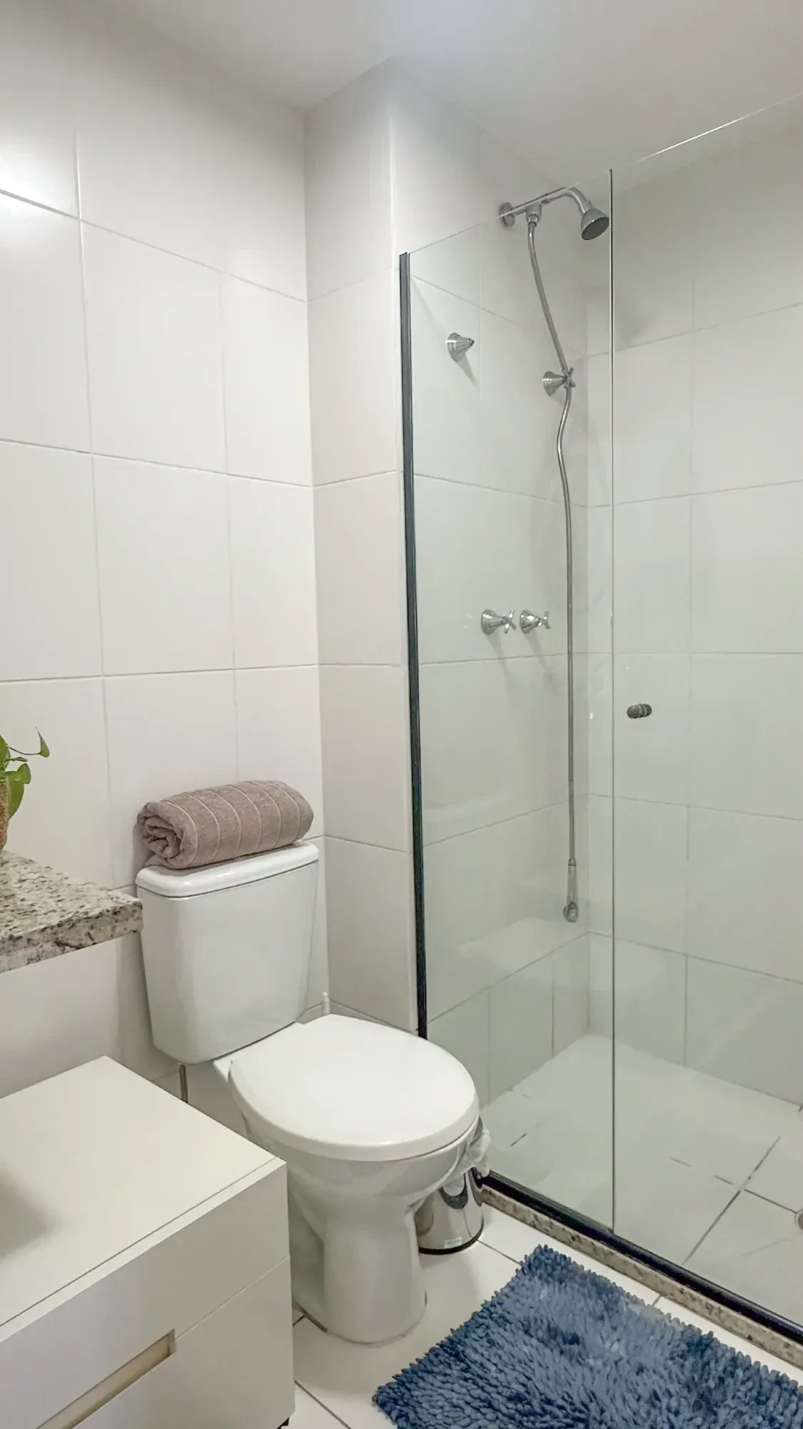 Imagem Apartamento com 2 Quartos à Venda, 69,7 m² em Ipiranga - São Paulo